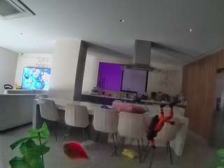 voyeurcam casa salsa fishtank